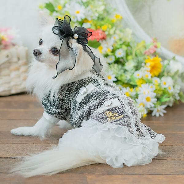 【WEB限定】チュールフリルスカート