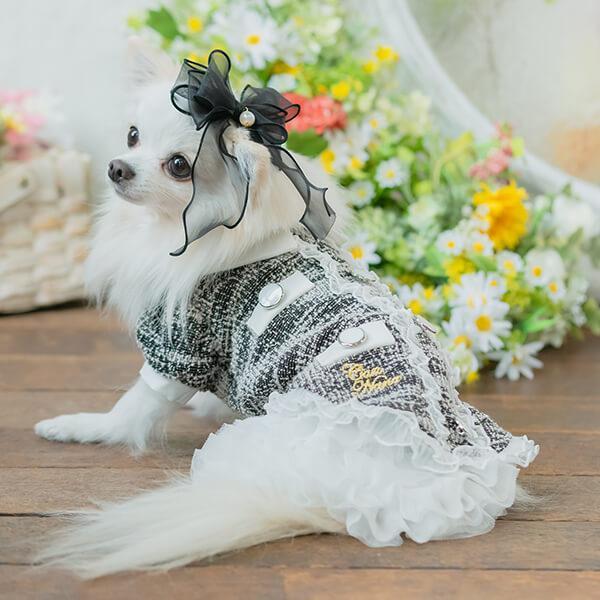 【WEB限定】チュールフリルスカート