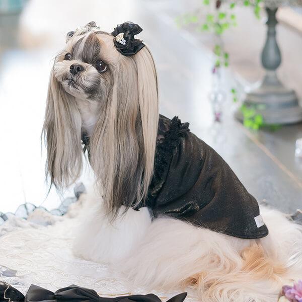 【WEB限定】レース切替インナーカットソー