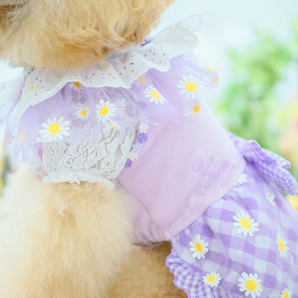 【WEB限定】レース切替インナーカットソー