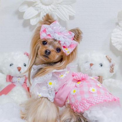 【WEB限定】レース切替インナーカットソー