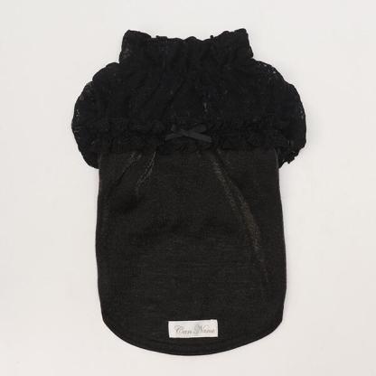 【WEB限定】レース切替インナーカットソー