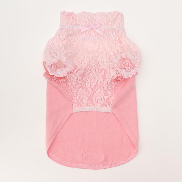 【WEB限定】レース切替インナーカットソー