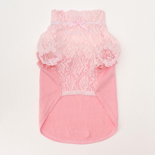 【WEB限定】レース切替インナーカットソー