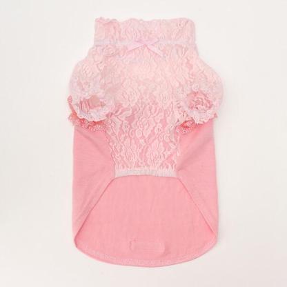 【WEB限定】レース切替インナーカットソー