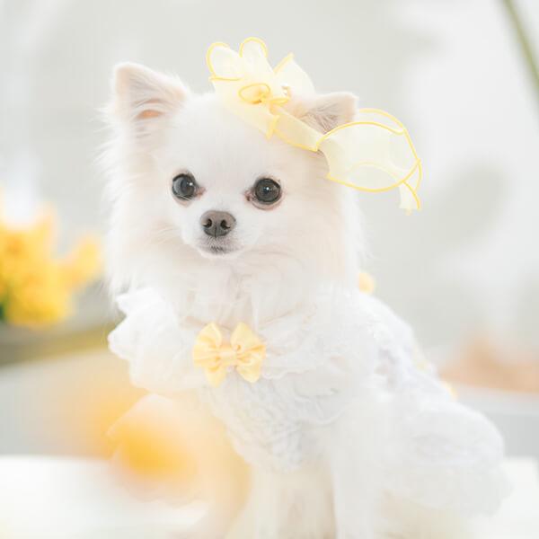 オーガンジーフリルバレッタリボン