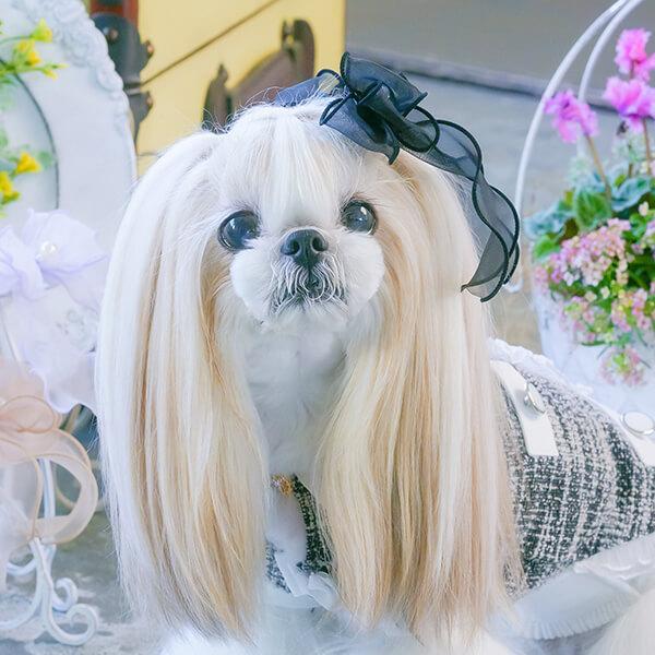 オーガンジーフリルバレッタリボン