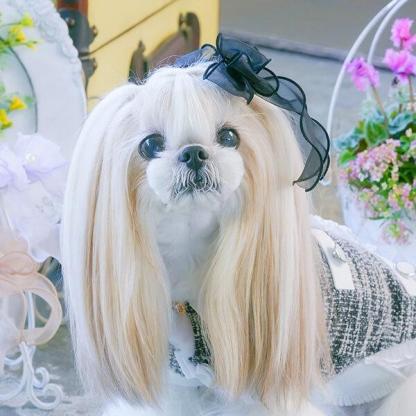 オーガンジーフリルバレッタリボン