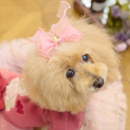 オーガンジーフリルバレッタリボン