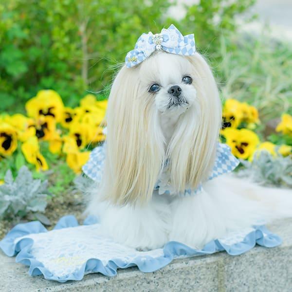 アリスのカート・カバーセット S