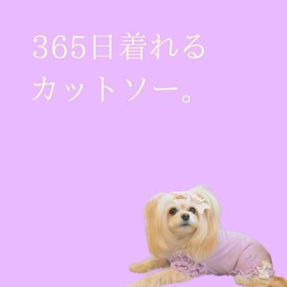 フリルスリーブカットソー（単品）