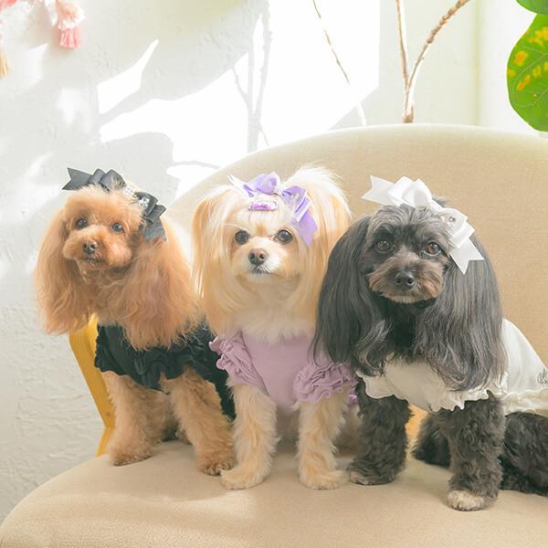 フリルスリーブカットソー（単品）