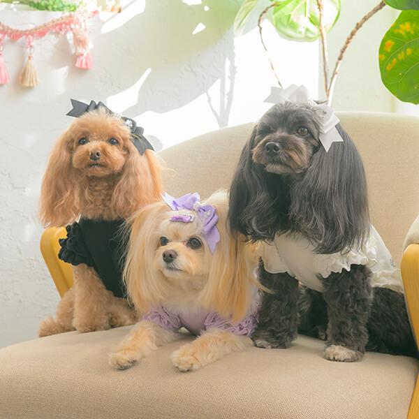 フリルスリーブカットソー（単品）