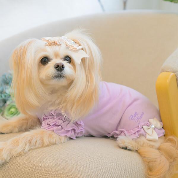 フリルスリーブカットソー（単品）