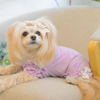 フリルスリーブカットソー（単品）