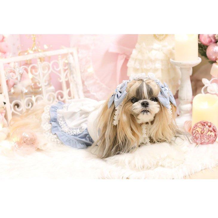 アリスのワンピース