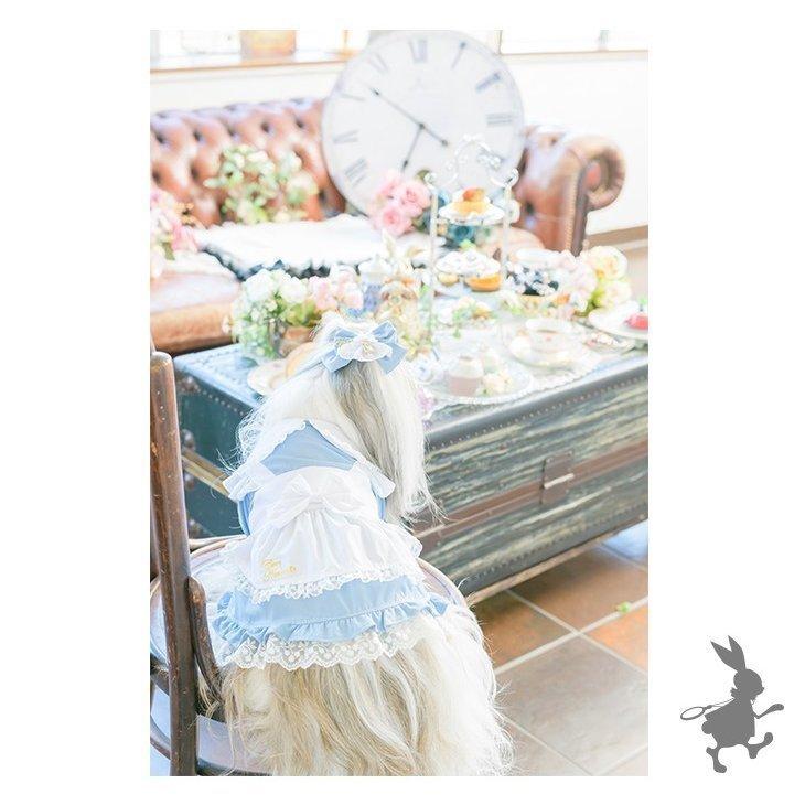 アリスのワンピース