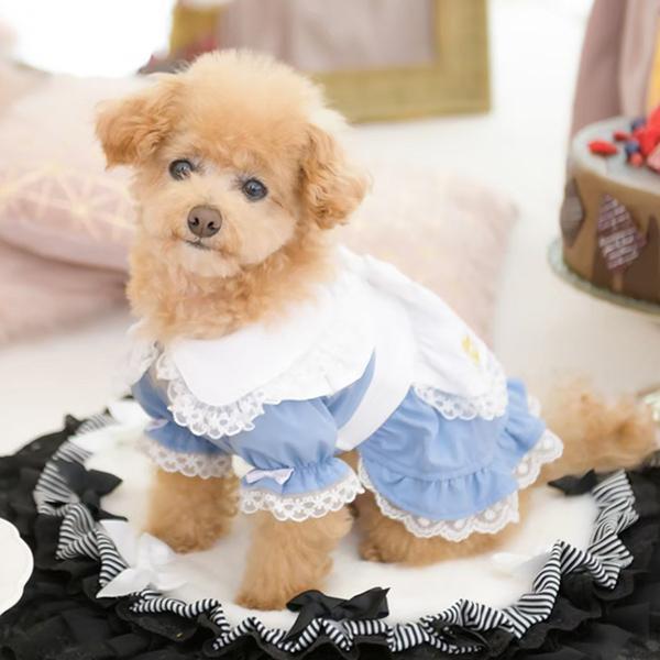 アリスのワンピース