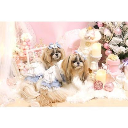 アリスのワンピース