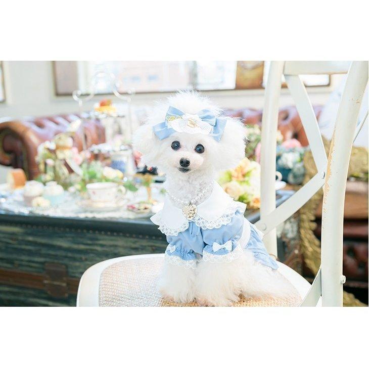 アリスのワンピース