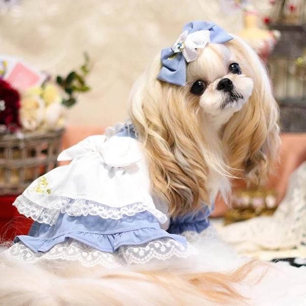 アリスのワンピース