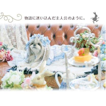 アリスのワンピース