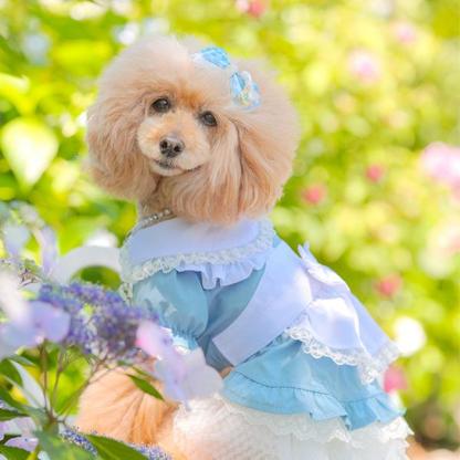 アリスのワンピース