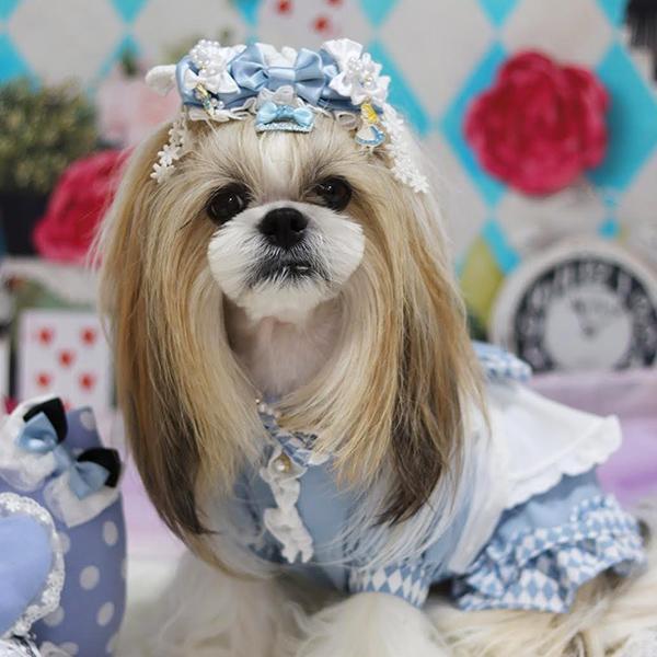 コーム型ストーン付きワンパッチン