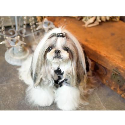 コーム型ストーン付きワンパッチン