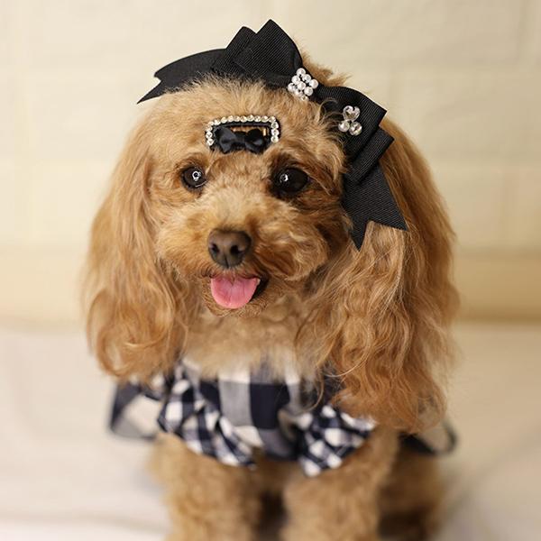 コーム型ストーン付きワンパッチン