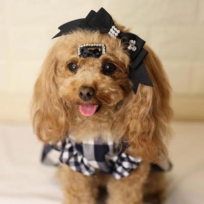 コーム型ストーン付きワンパッチン