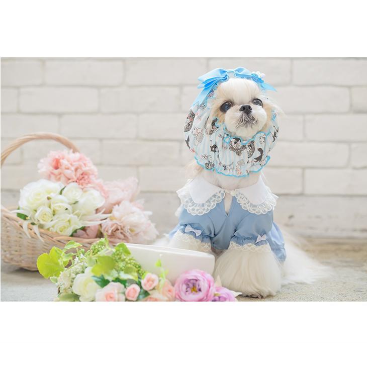 アリスのスヌード