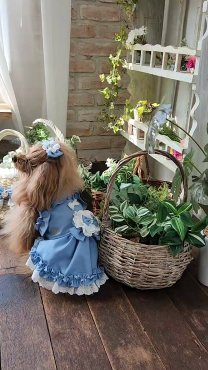 BK-008ﾃﾞﾆﾑﾊﾞﾚｯﾀ付きかごﾊﾞｯｸﾞ