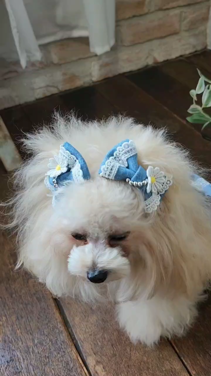 LB-336 ﾃﾞﾆﾑ＆ﾌﾗﾜｰ ﾐﾆﾊﾞﾚｯﾀ