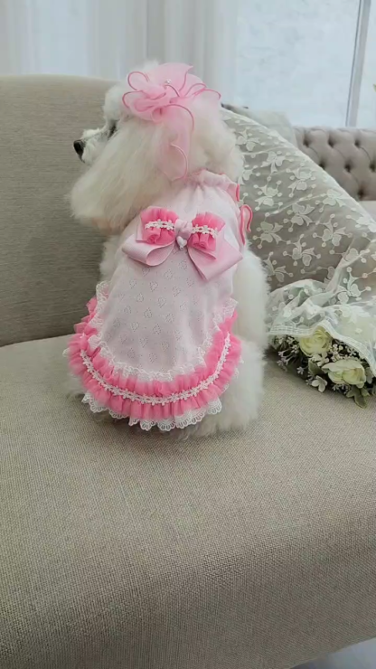 1179ハートメッシュフリルカットソー