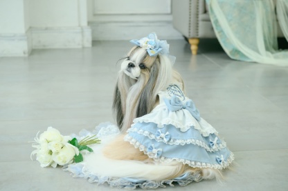 アリス エプロンワンピース（ブルー）