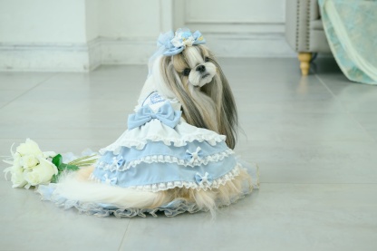 アリス ハートビジューバレッタ