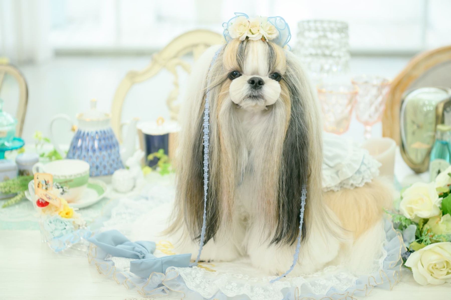 アリス 花冠アクセサリー