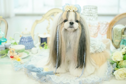 アリス 花冠アクセサリー