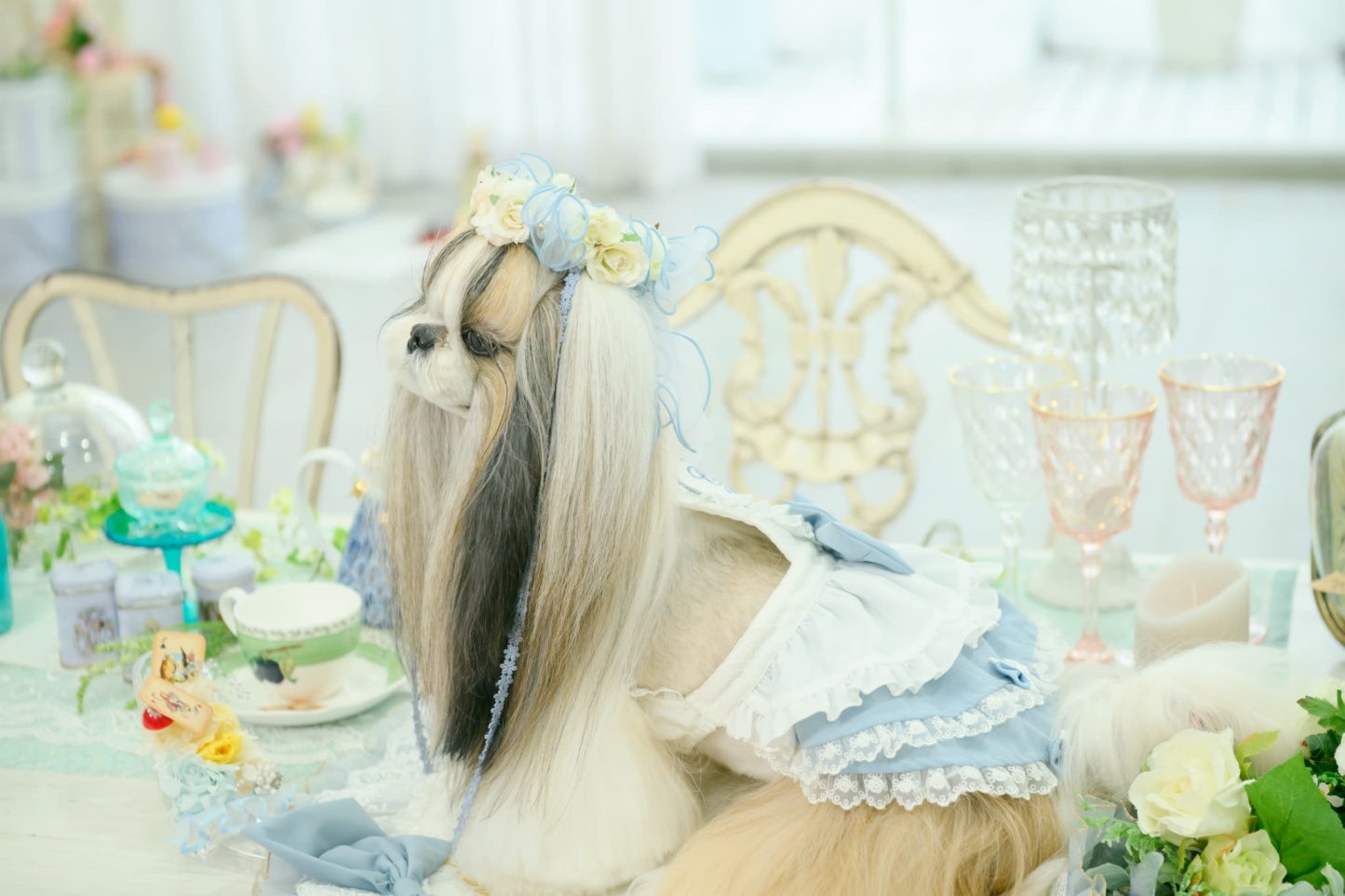 アリス 花冠アクセサリー