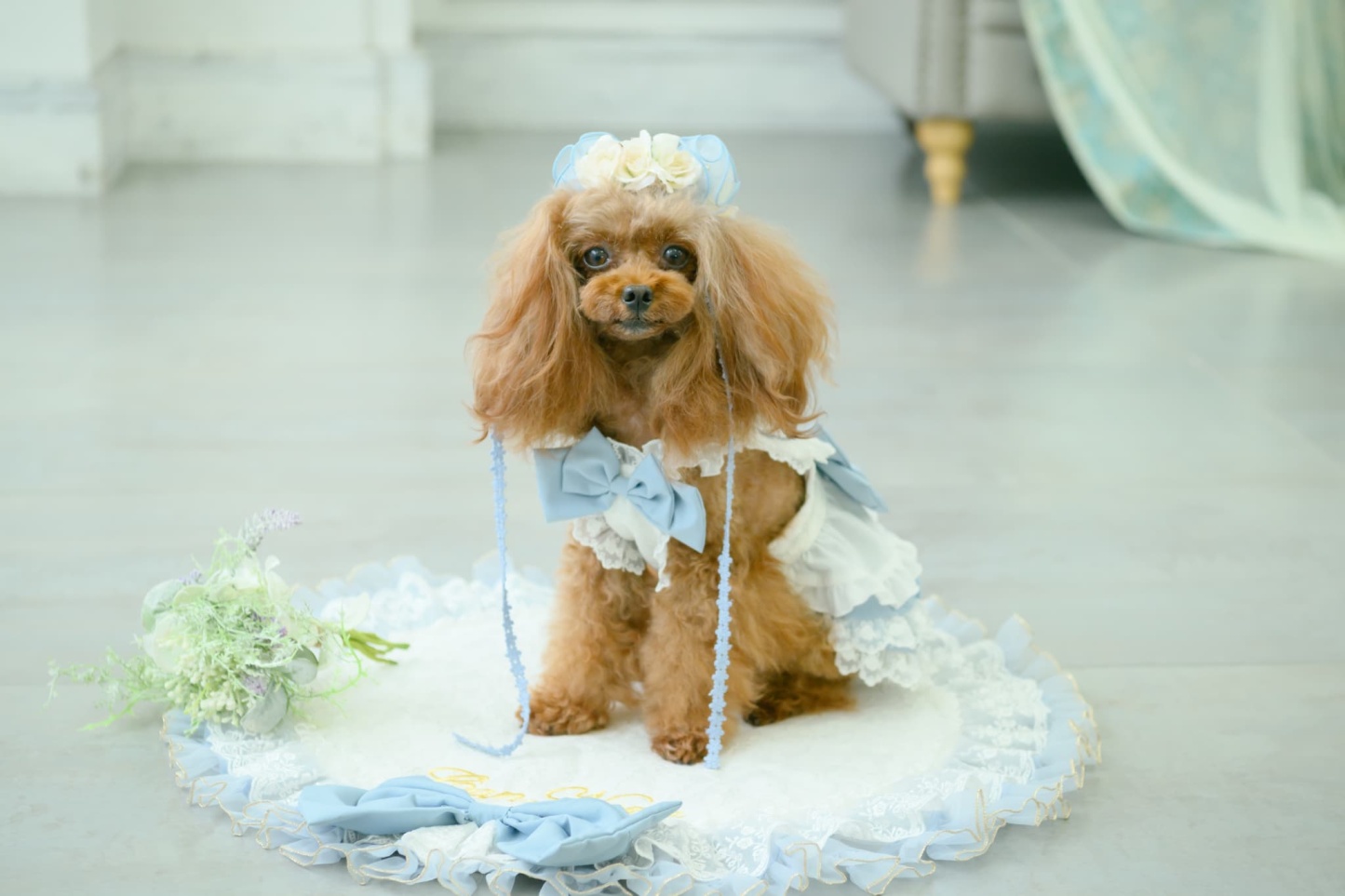 アリス エプロンワンピース（ブルー）