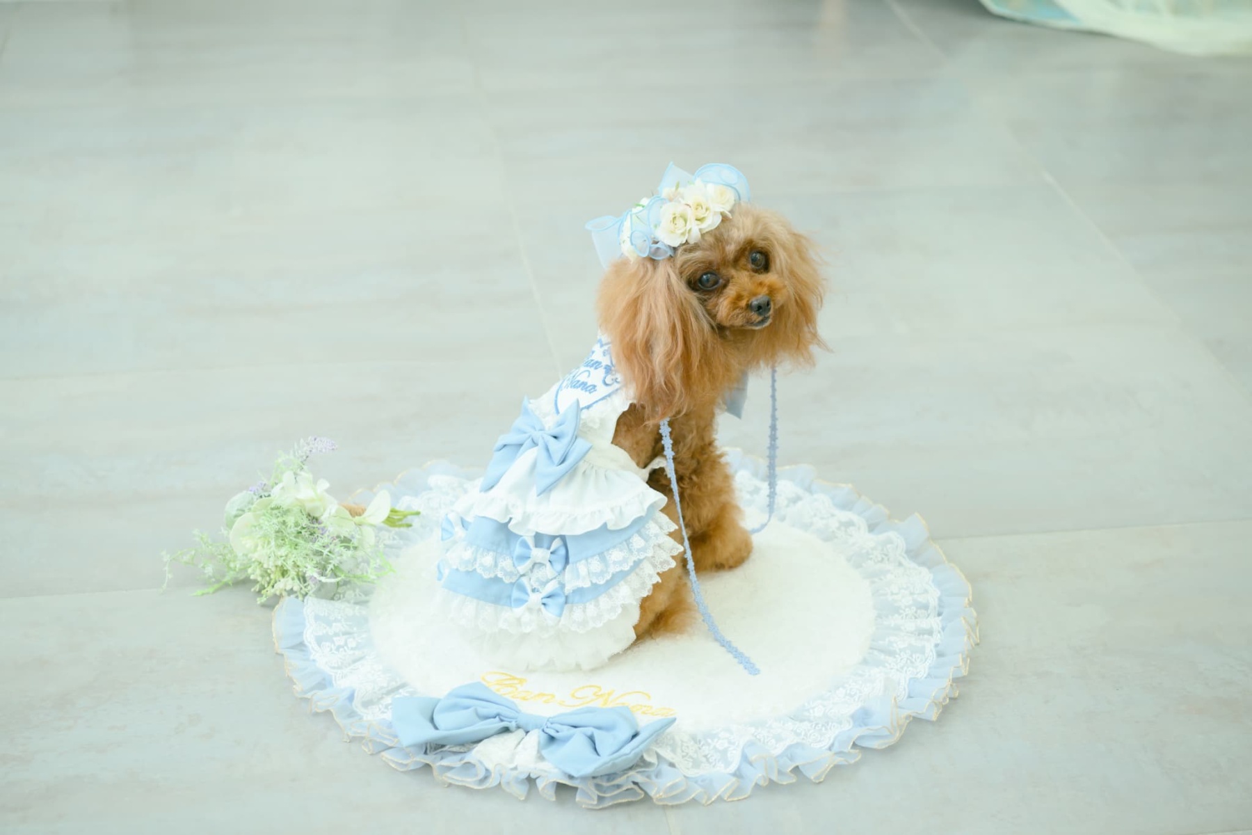 アリス エプロンワンピース（ブルー）