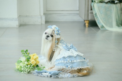 アリス エプロンワンピース（ブルー）