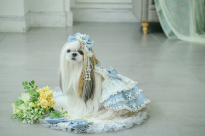 アリス ロングバレッタ