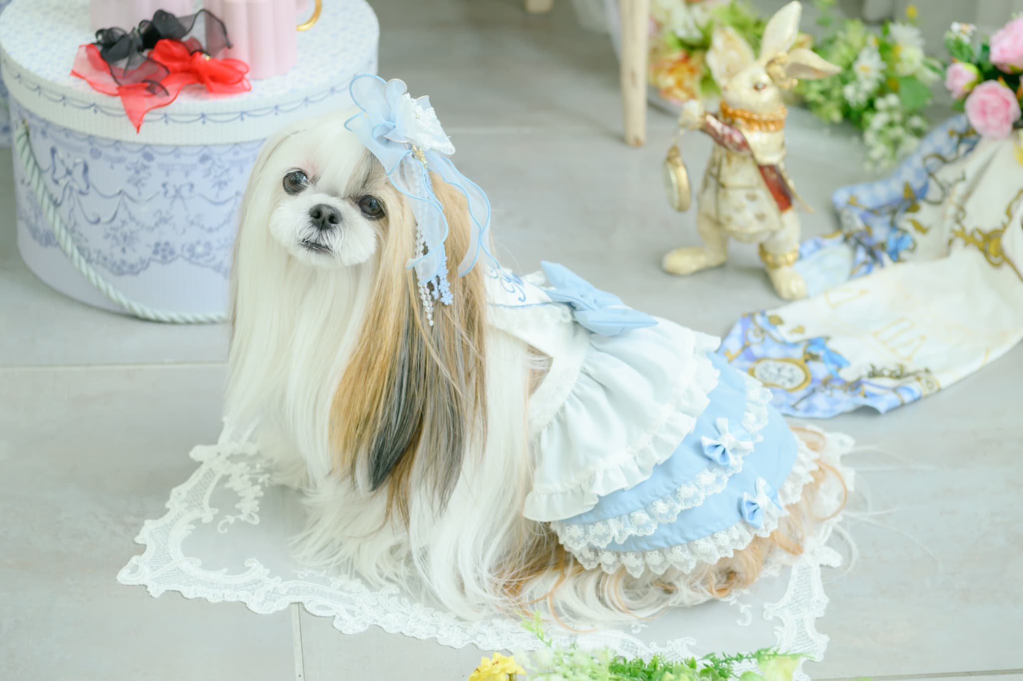 オーガンジーフリル アリスバレッタ