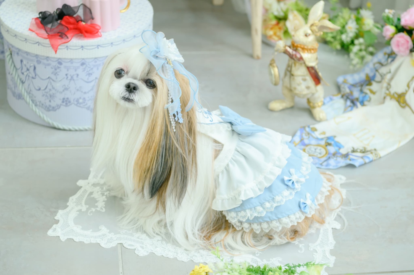 オーガンジーフリル アリスバレッタ