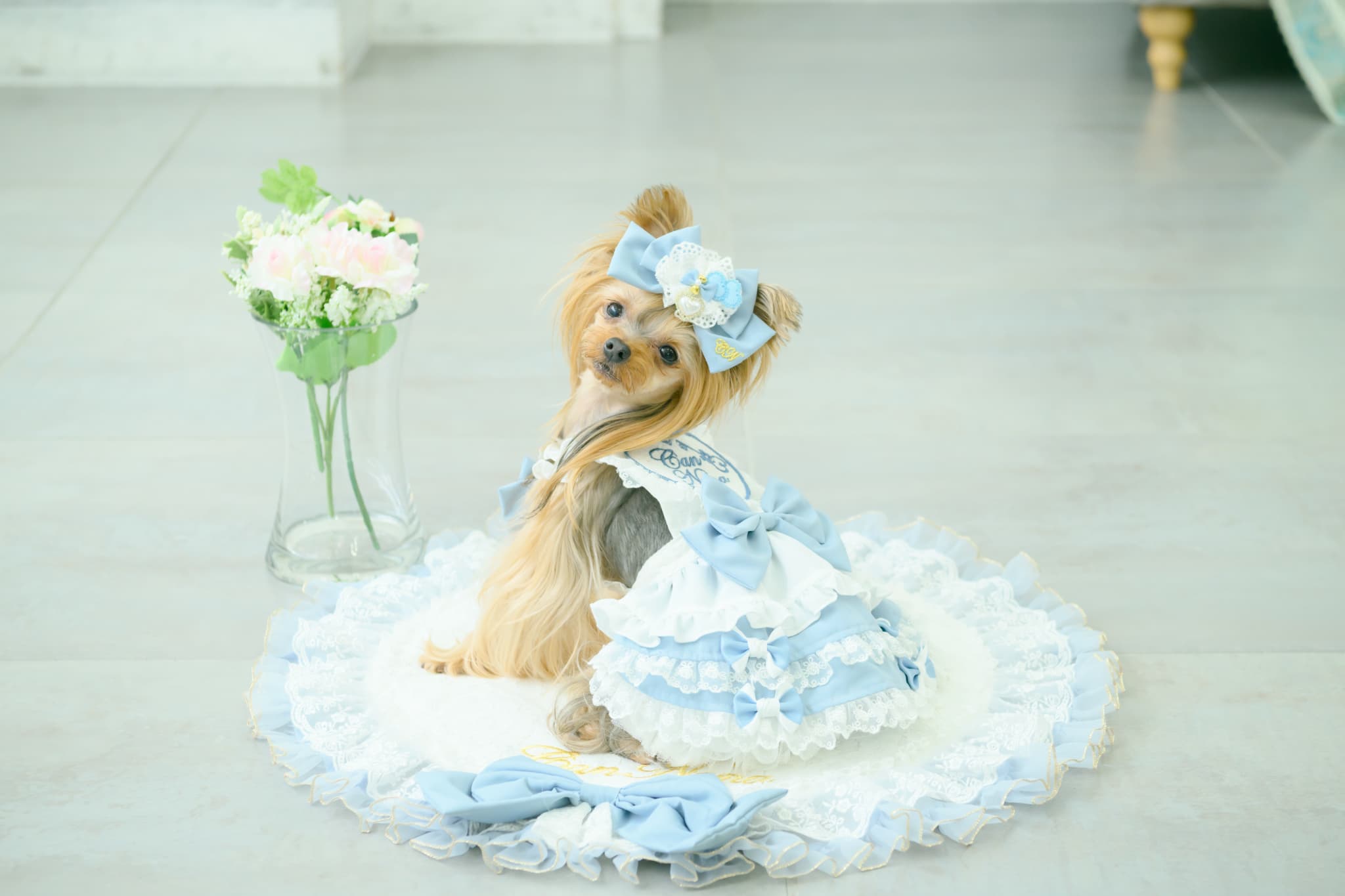 アリス エプロンワンピース（ブルー）