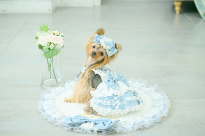 アリス エプロンワンピース（ブルー）