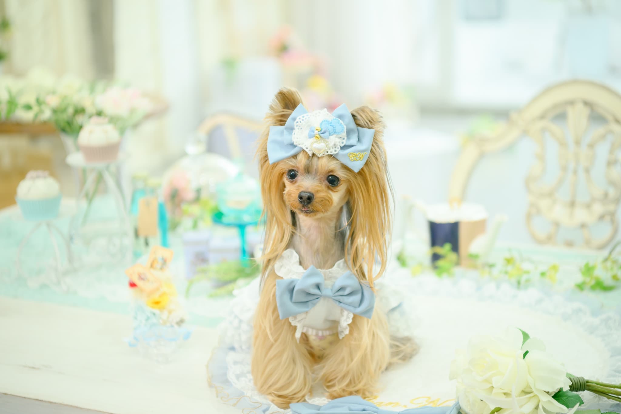 アリス ハートビジューバレッタ