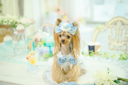 アリス ハートビジューバレッタ